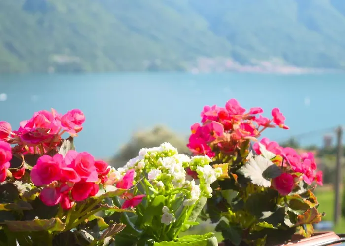 Casa Mia Appartement